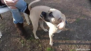 1246 asian porn porn videos